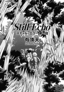 Still echo