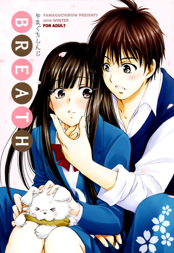 kimi ni todoke