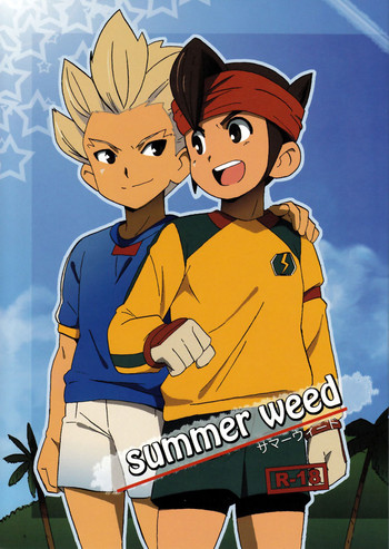 inazuma eleven