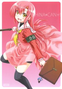 HiNA*CAN !