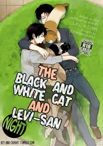 (C85) [Tokinokouji (Omatsu)] Hachiware to Levi-san [Yoru] | The Black and White Cat and Levi-san [Night] (Shingeki no Kyojin) [English] [Key and Cravat]