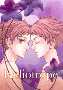 Heliotrope